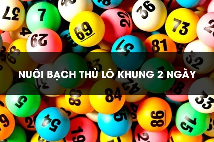 Bạch thủ lô nuôi khung 2 ngày