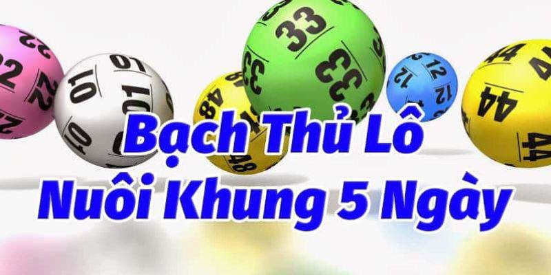 Bạch thủ lô nuôi khung 5 ngày