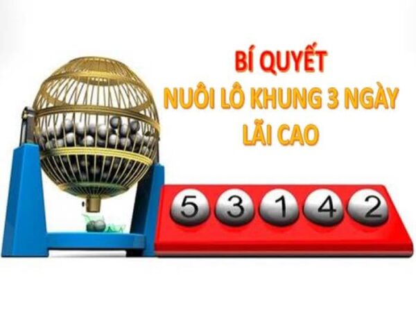 Nuôi lô kép khung 3 ngày