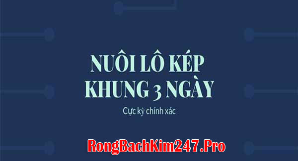 Lô kép nuôi khung 3 ngày