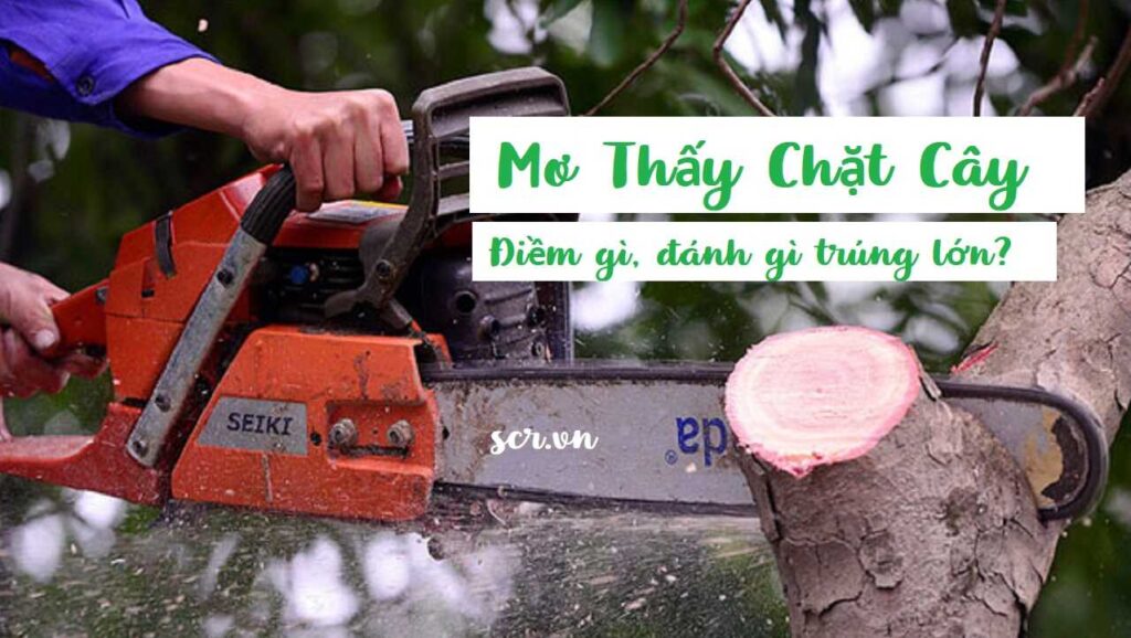 Mơ thấy chặt cây đánh số gì?